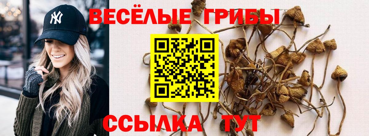 Галлюциногенные грибы мухоморы  Вход с VPN  Советский 